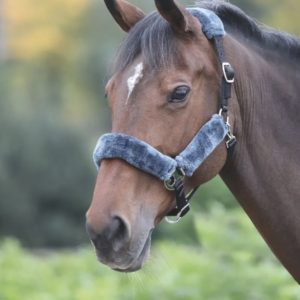 Adjustable Fleece Lined Head Collar