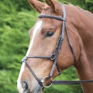 Aviemore Mexican Bridle