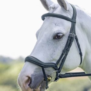 Velociti Ergonomic Bridle