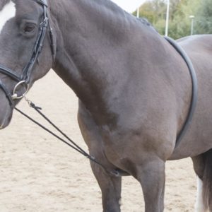 Soft Lunging Aid