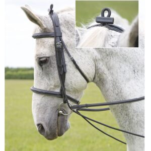 Training Bungie Rein